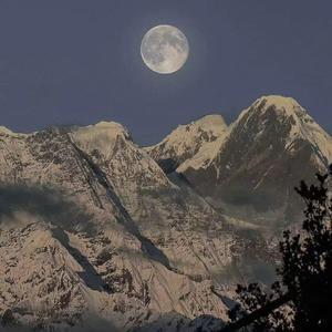 亚洲同志男男激情
